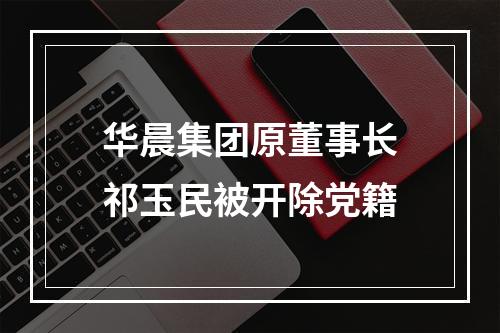 华晨集团原董事长祁玉民被开除党籍