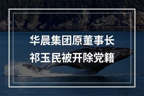 华晨集团原董事长祁玉民被开除党籍