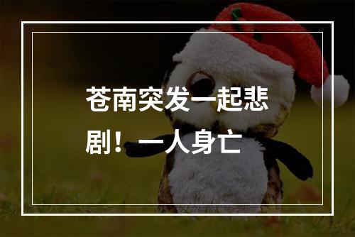 苍南突发一起悲剧！一人身亡