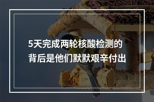 5天完成两轮核酸检测的背后是他们默默艰辛付出