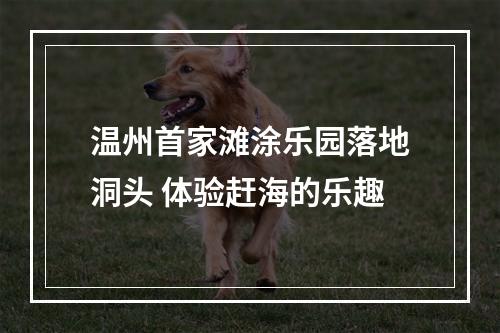 温州首家滩涂乐园落地洞头 体验赶海的乐趣