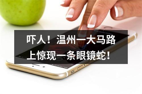吓人！温州一大马路上惊现一条眼镜蛇！