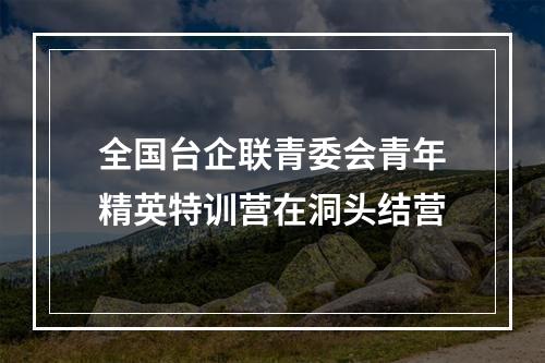 全国台企联青委会青年精英特训营在洞头结营