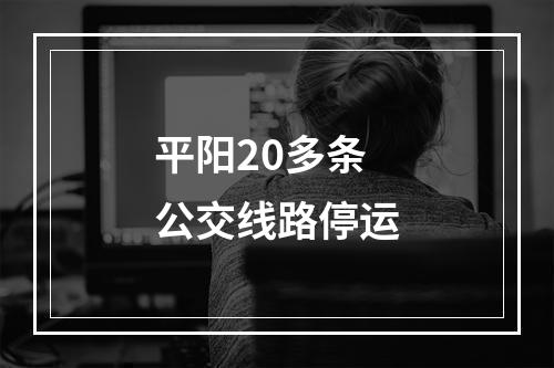 平阳20多条公交线路停运