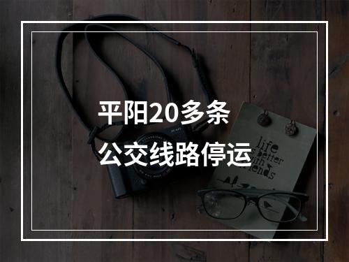 平阳20多条公交线路停运