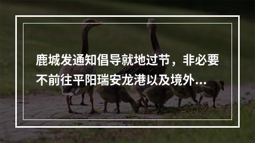 鹿城发通知倡导就地过节，非必要不前往平阳瑞安龙港以及境外、国内疫情中高风险地区