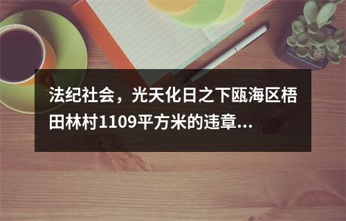法纪社会，光天化日之下瓯海区梧田林村1109平方米的违章建筑建起来了