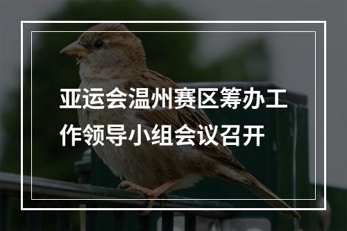 亚运会温州赛区筹办工作领导小组会议召开