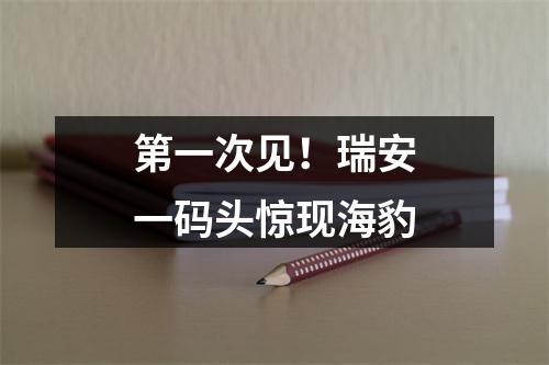 第一次见！瑞安一码头惊现海豹