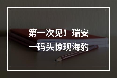 第一次见！瑞安一码头惊现海豹