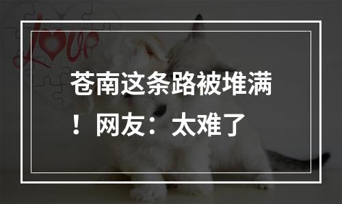 苍南这条路被堆满！网友：太难了