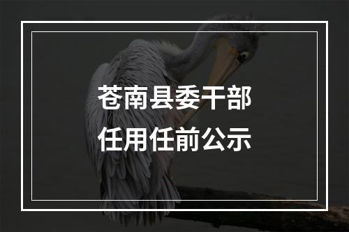 苍南县委干部任用任前公示