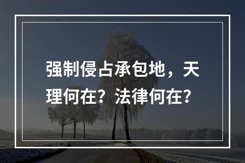 强制侵占承包地，天理何在？法律何在？