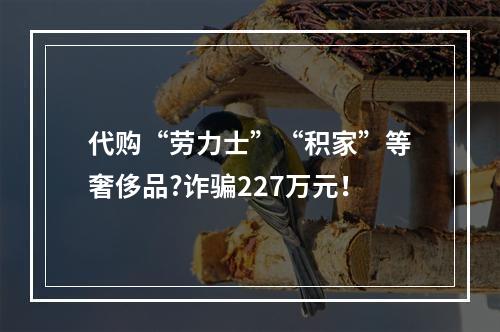 代购“劳力士”“积家”等奢侈品?诈骗227万元！