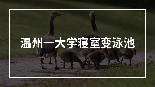 温州一大学寝室变泳池