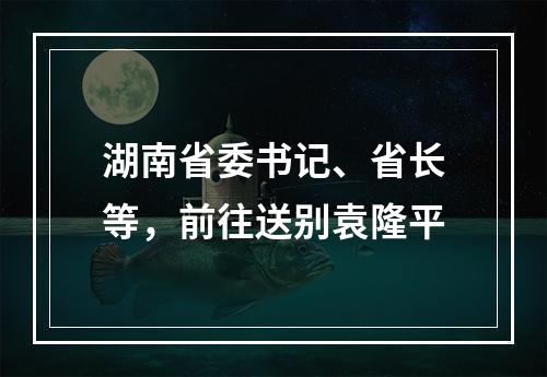 湖南省委书记、省长等，前往送别袁隆平