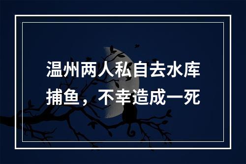 温州两人私自去水库捕鱼，不幸造成一死