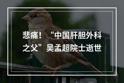 悲痛！“中国肝胆外科之父”吴孟超院士逝世