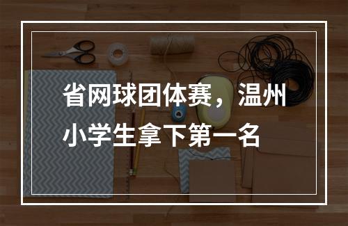 省网球团体赛，温州小学生拿下第一名