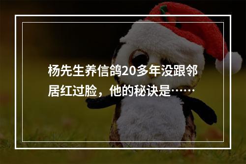 杨先生养信鸽20多年没跟邻居红过脸，他的秘诀是……