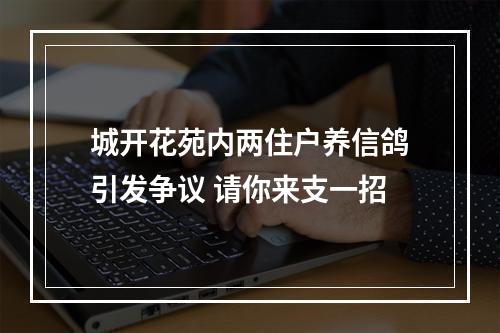 城开花苑内两住户养信鸽引发争议 请你来支一招