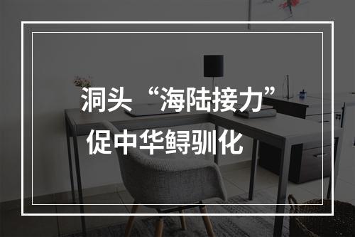 洞头“海陆接力” 促中华鲟驯化