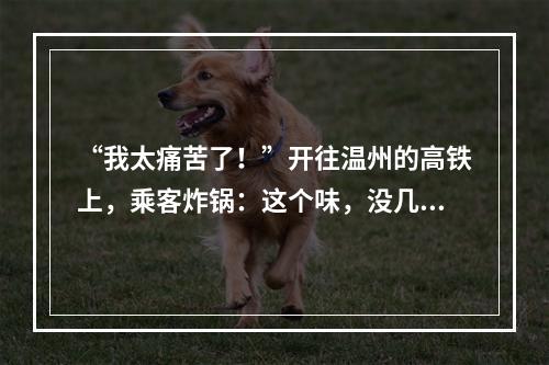 “我太痛苦了！”开往温州的高铁上，乘客炸锅：这个味，没几个人能受得了