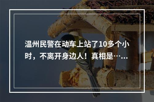 温州民警在动车上站了10多个小时，不离开身边人！真相是……