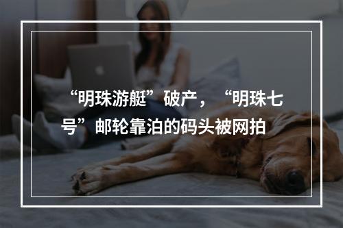 “明珠游艇”破产，“明珠七号”邮轮靠泊的码头被网拍