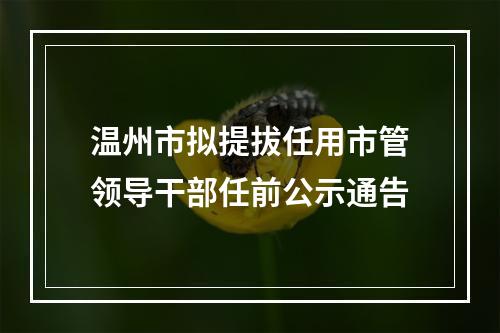 温州市拟提拔任用市管领导干部任前公示通告