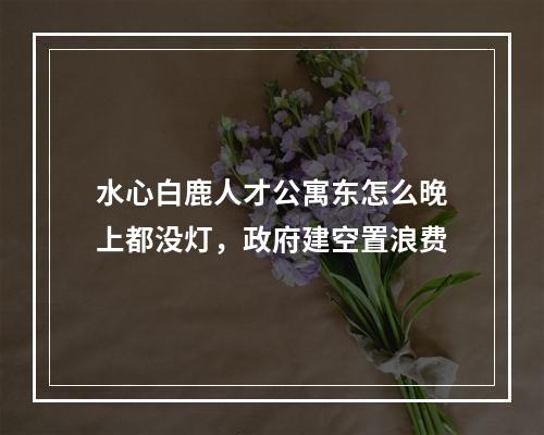 水心白鹿人才公寓东怎么晚上都没灯，政府建空置浪费