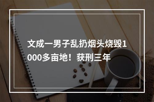 文成一男子乱扔烟头烧毁1000多亩地！获刑三年
