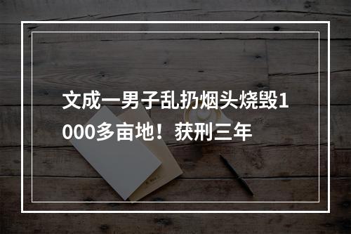 文成一男子乱扔烟头烧毁1000多亩地！获刑三年