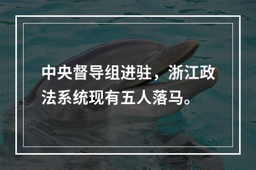 中央督导组进驻，浙江政法系统现有五人落马。