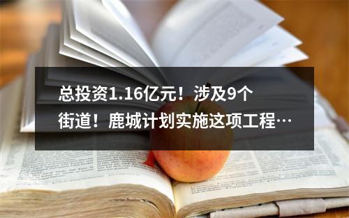 总投资1.16亿元！涉及9个街道！鹿城计划实施这项工程…