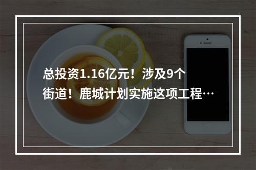 总投资1.16亿元！涉及9个街道！鹿城计划实施这项工程…
