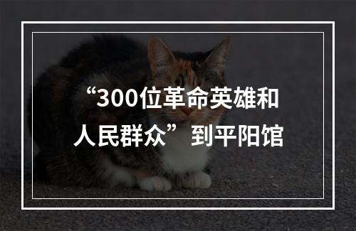 “300位革命英雄和人民群众”到平阳馆
