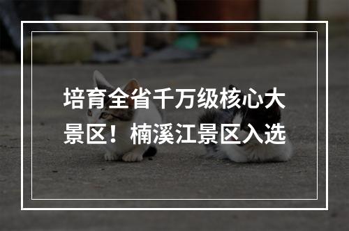 培育全省千万级核心大景区！楠溪江景区入选