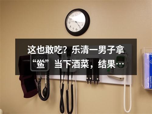 这也敢吃？乐清一男子拿“鲎”当下酒菜，结果…