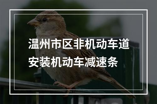 温州市区非机动车道安装机动车减速条