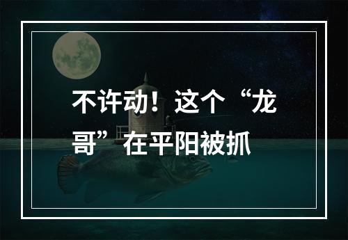 不许动！这个“龙哥”在平阳被抓