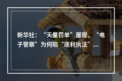 新华社：“天量罚单”屡现，“电子警察”为何陷“逐利执法”争议