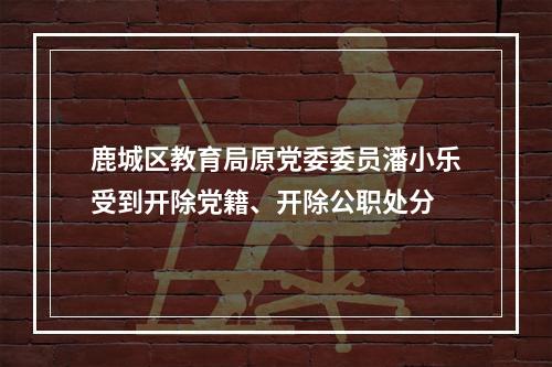 鹿城区教育局原党委委员潘小乐受到开除党籍、开除公职处分