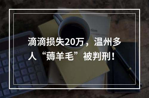 滴滴损失20万，温州多人“薅羊毛”被判刑！