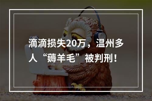 滴滴损失20万，温州多人“薅羊毛”被判刑！