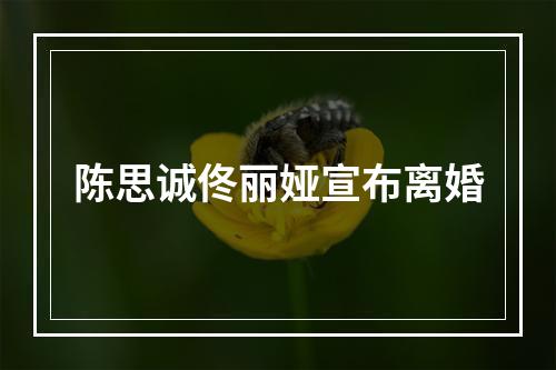 陈思诚佟丽娅宣布离婚