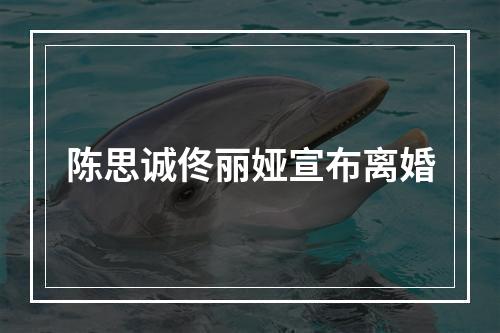 陈思诚佟丽娅宣布离婚