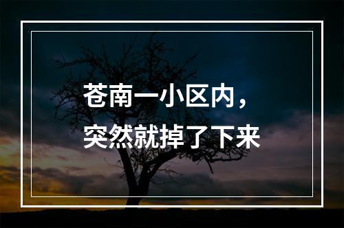 苍南一小区内，突然就掉了下来