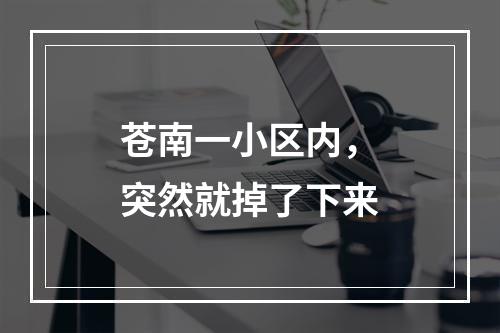 苍南一小区内，突然就掉了下来