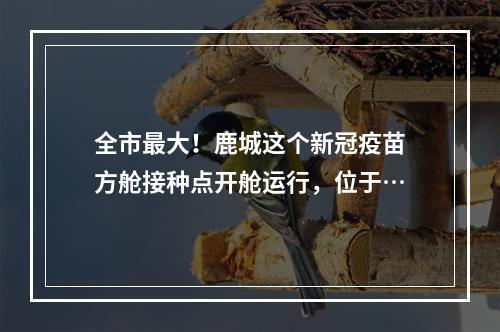 全市最大！鹿城这个新冠疫苗方舱接种点开舱运行，位于…